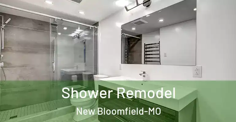 inner Bathroom imggen Shower Remodel New Bloomfield-MO