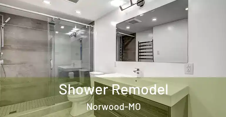 inner Bathroom imggen Shower Remodel Norwood-MO