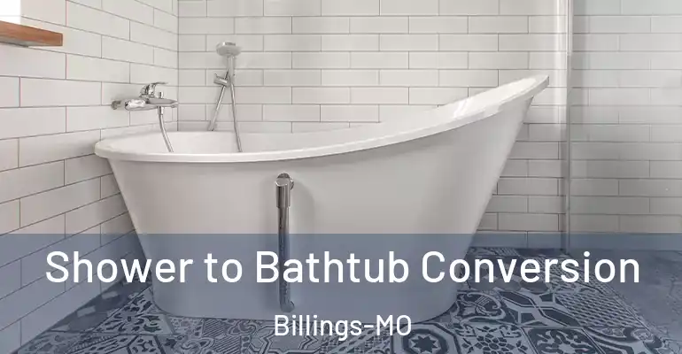 inner Bathroom imggen Shower to Bathtub Conversion Billings-MO