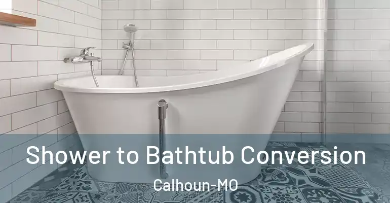 inner Bathroom imggen Shower to Bathtub Conversion Calhoun-MO