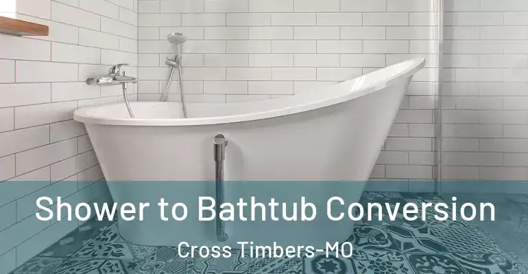 inner Bathroom imggen Shower to Bathtub Conversion Cross Timbers-MO