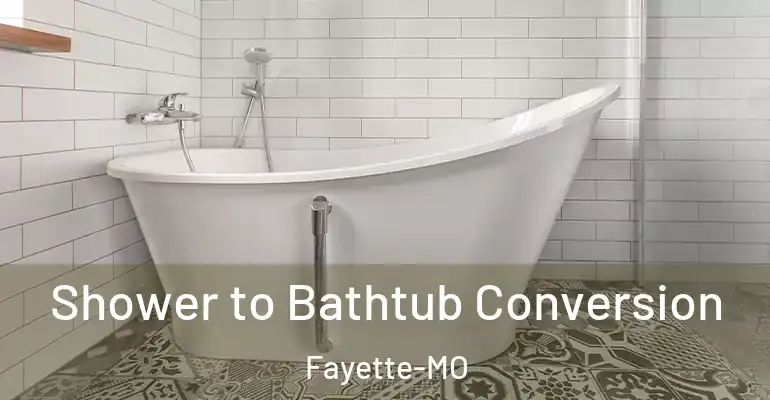 inner Bathroom imggen Shower to Bathtub Conversion Fayette-MO