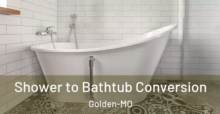 inner Bathroom imggen Shower to Bathtub Conversion Golden-MO