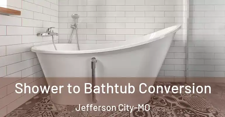 inner Bathroom imggen Shower to Bathtub Conversion Jefferson City-MO