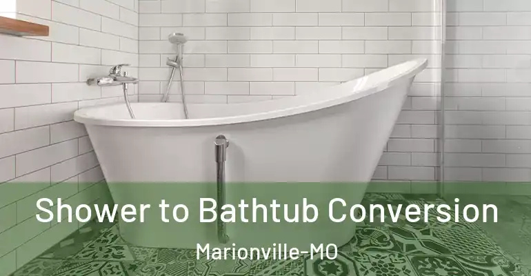 inner Bathroom imggen Shower to Bathtub Conversion Marionville-MO