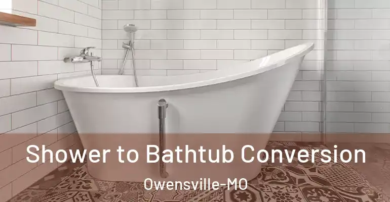 inner Bathroom imggen Shower to Bathtub Conversion Owensville-MO