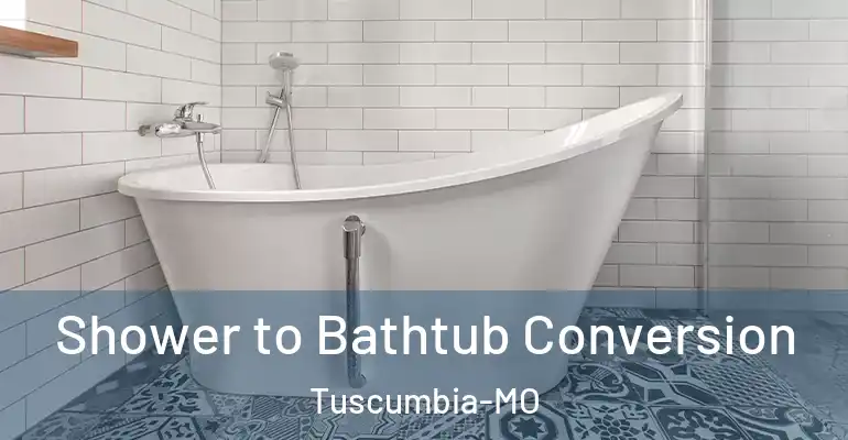 inner Bathroom imggen Shower to Bathtub Conversion Tuscumbia-MO