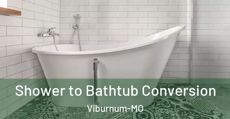 inner Bathroom imggen Shower to Bathtub Conversion Viburnum-MO