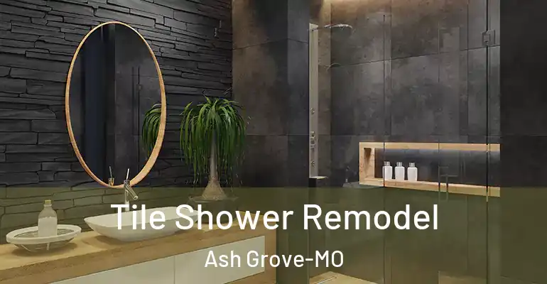inner Bathroom imggen Tile Shower Remodel Ash Grove-MO