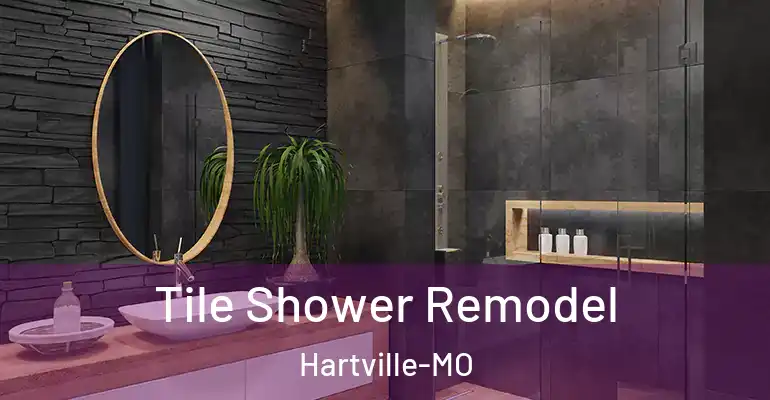 inner Bathroom imggen Tile Shower Remodel Hartville-MO