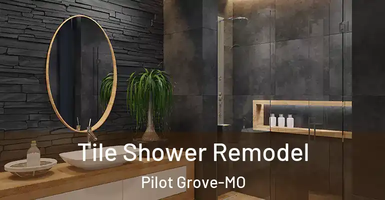 inner Bathroom imggen Tile Shower Remodel Pilot Grove-MO