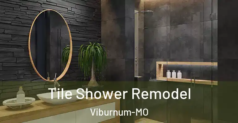 inner Bathroom imggen Tile Shower Remodel Viburnum-MO