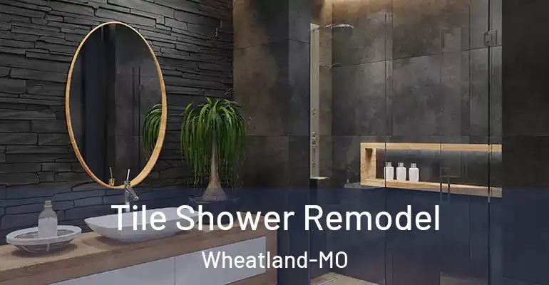 inner Bathroom imggen Tile Shower Remodel Wheatland-MO
