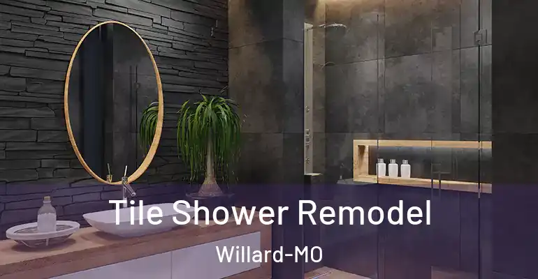 inner Bathroom imggen Tile Shower Remodel Willard-MO