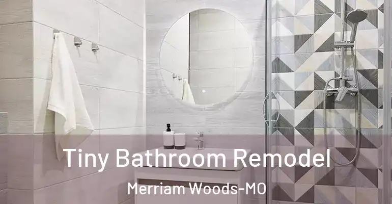 inner Bathroom imggen Tiny Bathroom Remodel Merriam Woods-MO