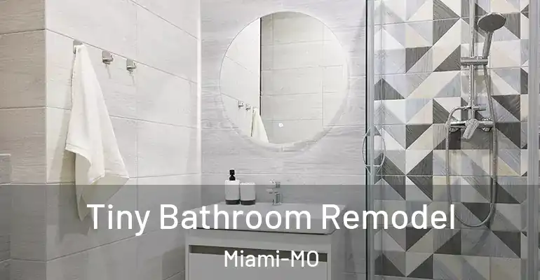 inner Bathroom imggen Tiny Bathroom Remodel Miami-MO