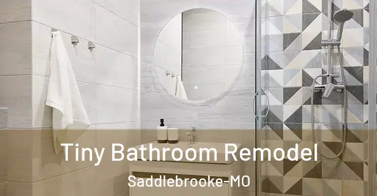 inner Bathroom imggen Tiny Bathroom Remodel Saddlebrooke-MO