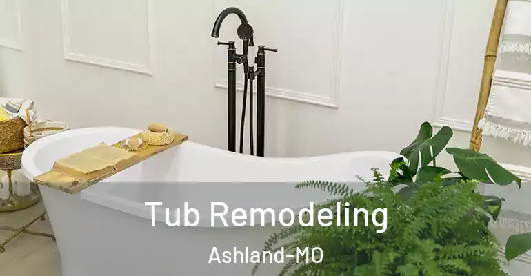 inner Bathroom imggen Tub Remodeling Ashland-MO