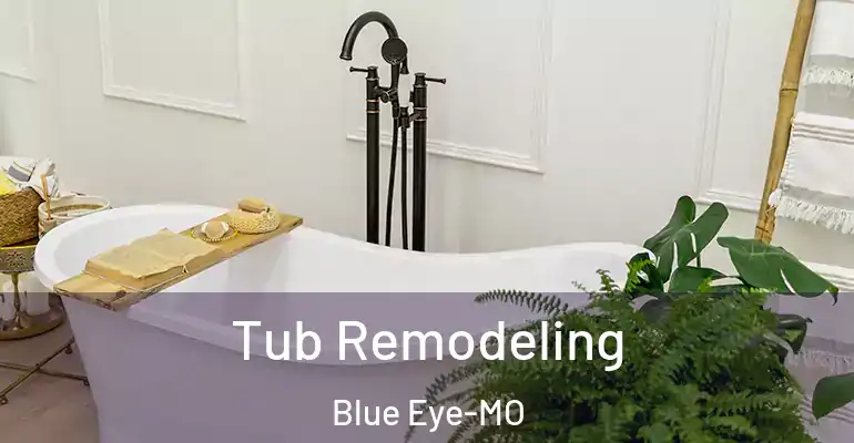 inner Bathroom imggen Tub Remodeling Blue Eye-MO