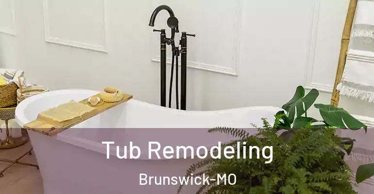 inner Bathroom imggen Tub Remodeling Brunswick-MO