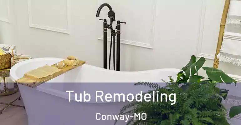 inner Bathroom imggen Tub Remodeling Conway-MO