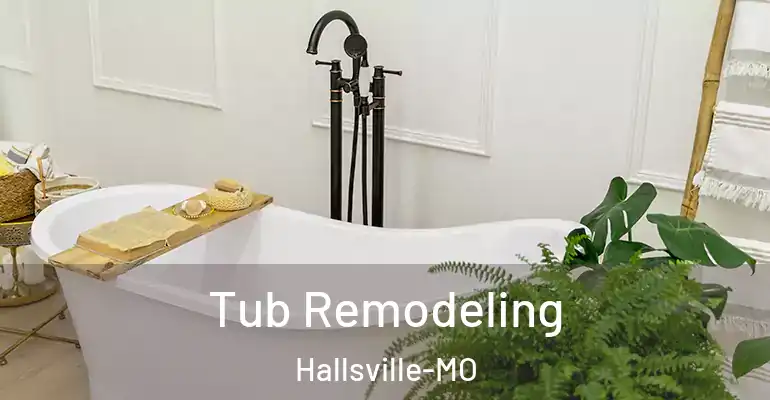inner Bathroom imggen Tub Remodeling Hallsville-MO
