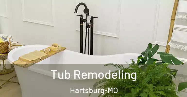 inner Bathroom imggen Tub Remodeling Hartsburg-MO