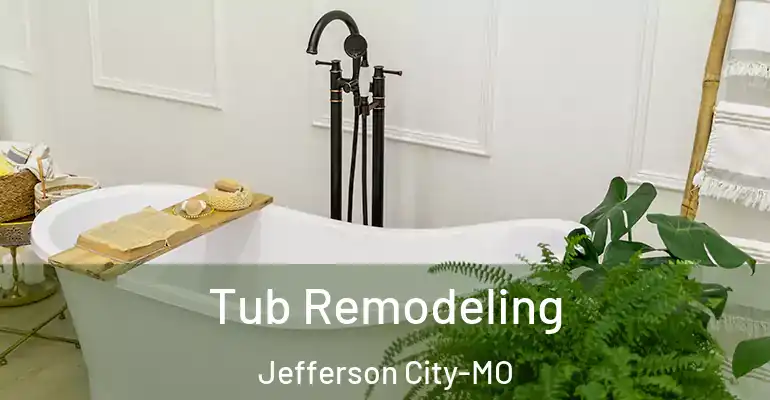 inner Bathroom imggen Tub Remodeling Jefferson City-MO