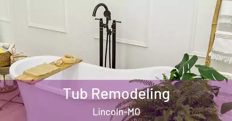inner Bathroom imggen Tub Remodeling Lincoln-MO