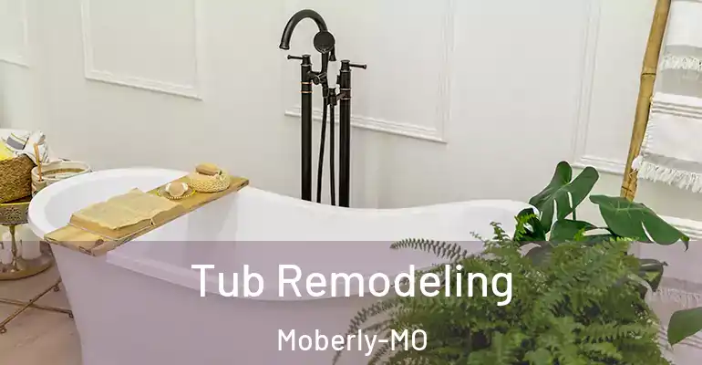 inner Bathroom imggen Tub Remodeling Moberly-MO