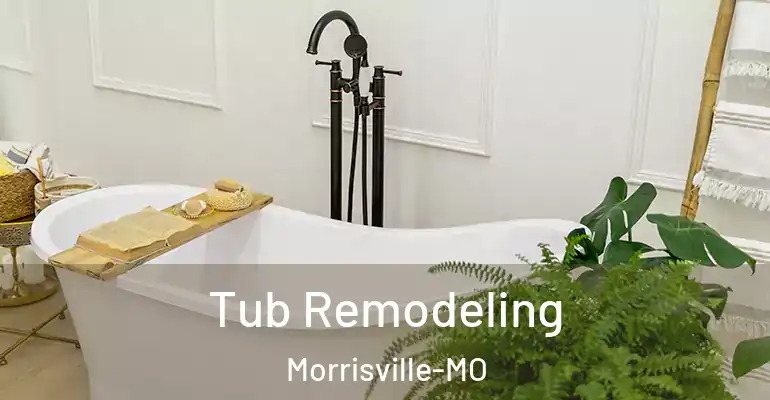 inner Bathroom imggen Tub Remodeling Morrisville-MO