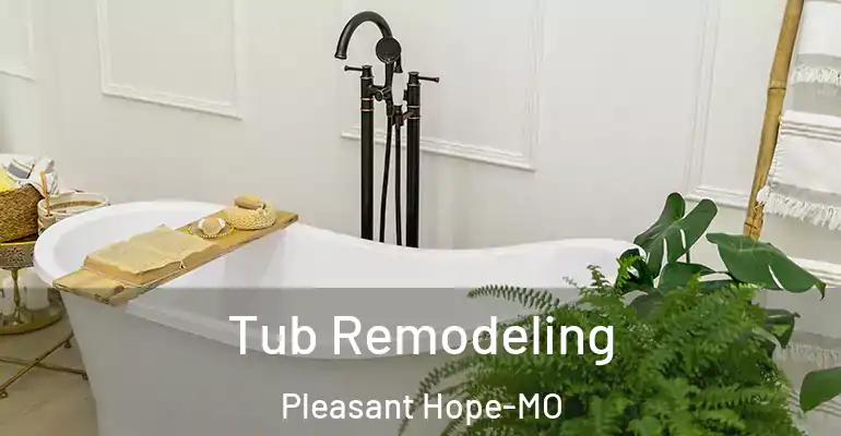 inner Bathroom imggen Tub Remodeling Pleasant Hope-MO