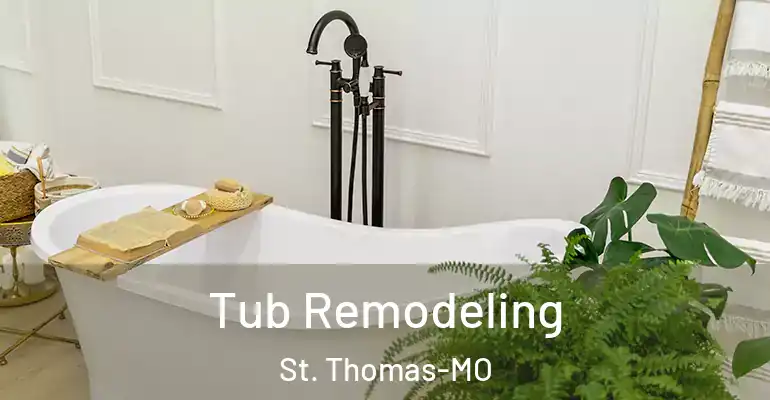 inner Bathroom imggen Tub Remodeling St. Thomas-MO