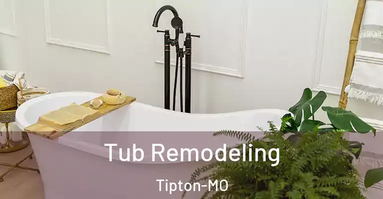 inner Bathroom imggen Tub Remodeling Tipton-MO