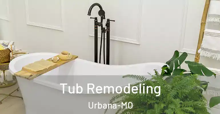 inner Bathroom imggen Tub Remodeling Urbana-MO