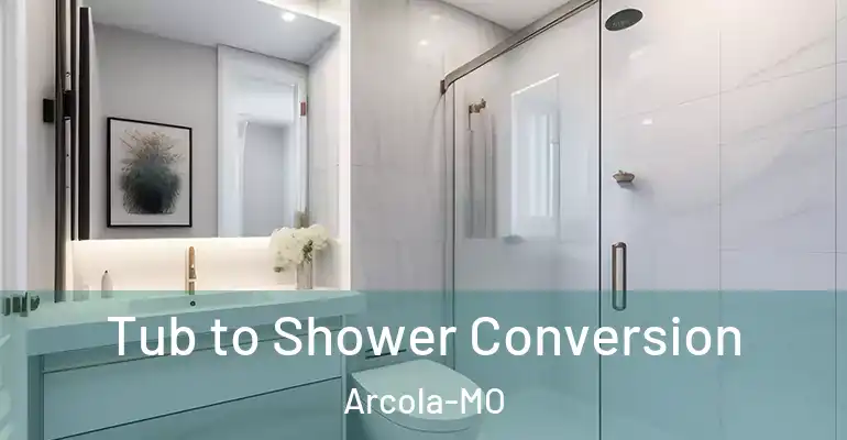 inner Bathroom imggen Tub to Shower Conversion Arcola-MO