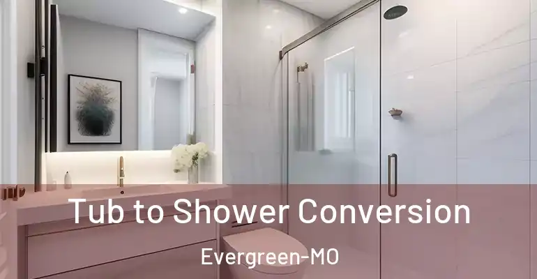 inner Bathroom imggen Tub to Shower Conversion Evergreen-MO
