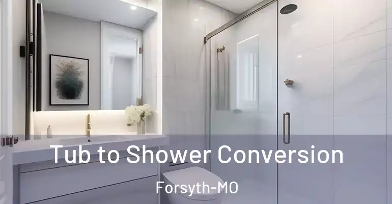 inner Bathroom imggen Tub to Shower Conversion Forsyth-MO