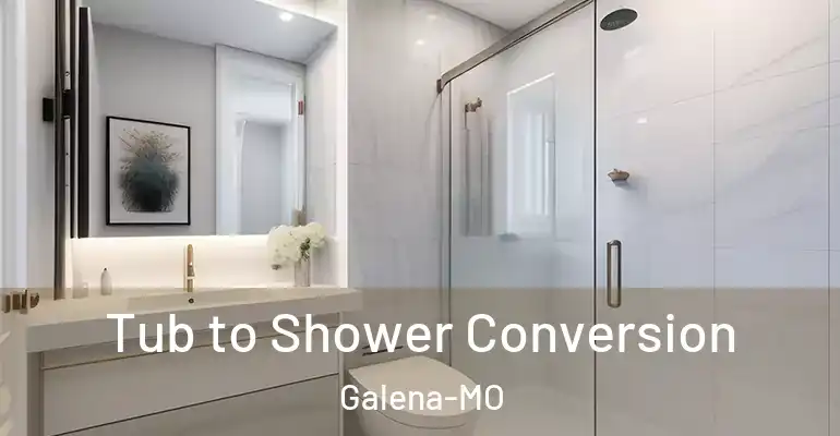 inner Bathroom imggen Tub to Shower Conversion Galena-MO