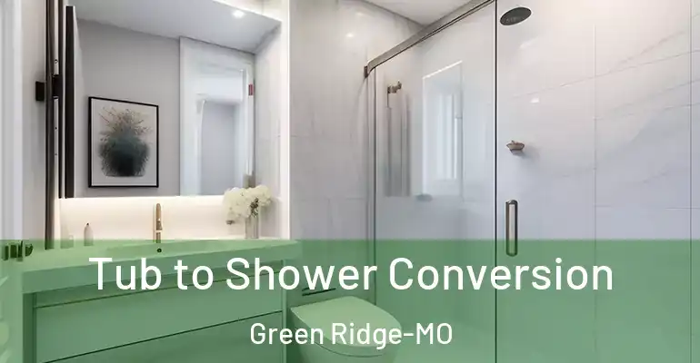 inner Bathroom imggen Tub to Shower Conversion Green Ridge-MO