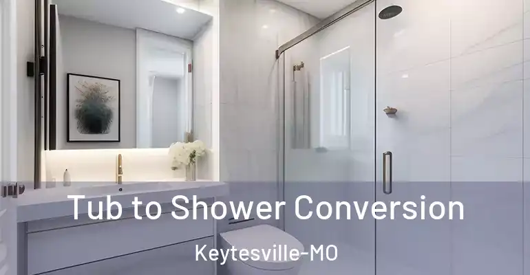 inner Bathroom imggen Tub to Shower Conversion Keytesville-MO