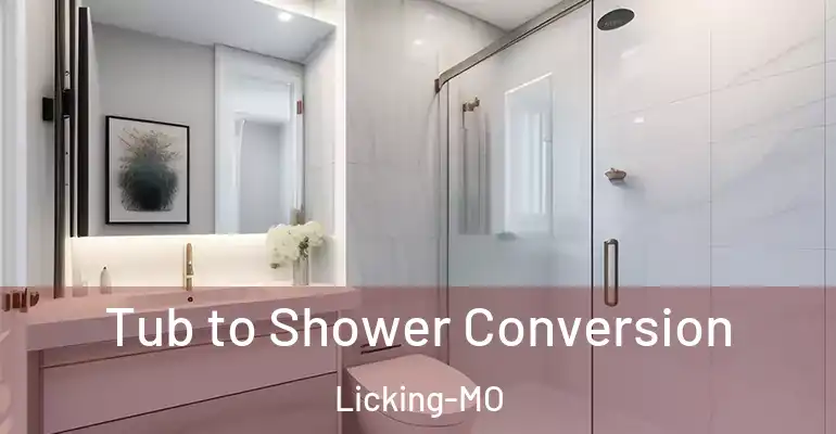 inner Bathroom imggen Tub to Shower Conversion Licking-MO