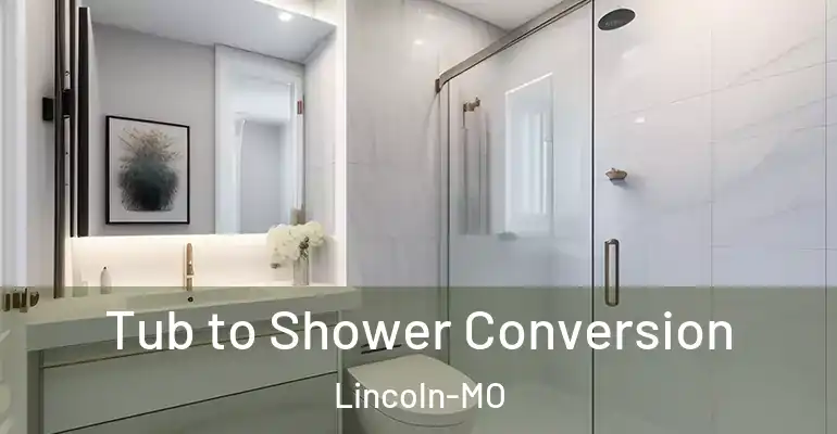 inner Bathroom imggen Tub to Shower Conversion Lincoln-MO