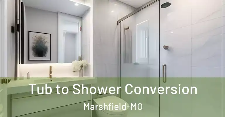 inner Bathroom imggen Tub to Shower Conversion Marshfield-MO