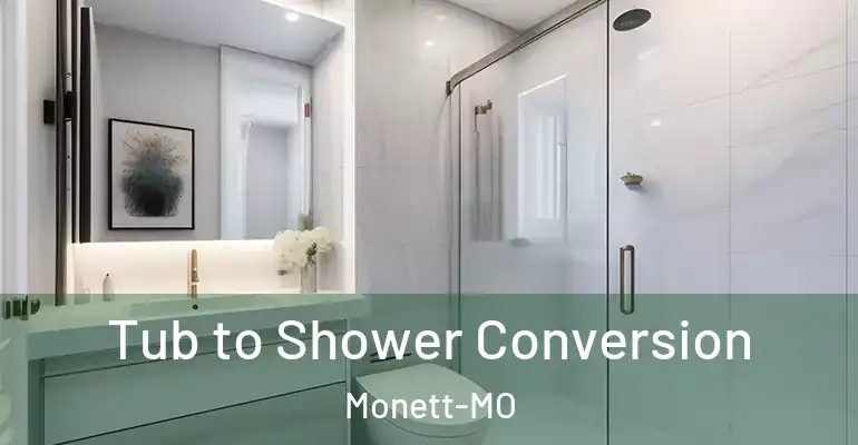 inner Bathroom imggen Tub to Shower Conversion Monett-MO