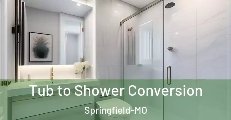 inner Bathroom imggen Tub to Shower Conversion Springfield-MO