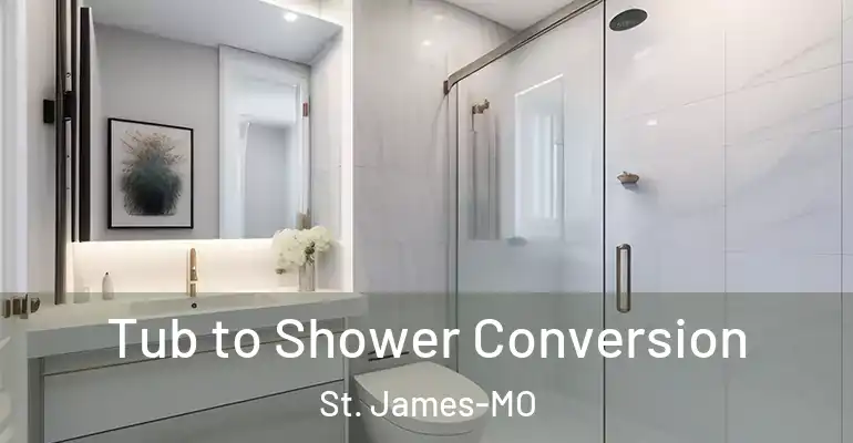 inner Bathroom imggen Tub to Shower Conversion St. James-MO