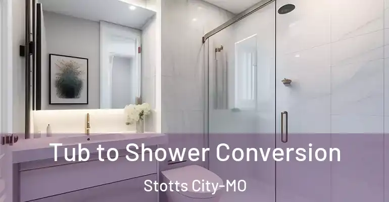 inner Bathroom imggen Tub to Shower Conversion Stotts City-MO