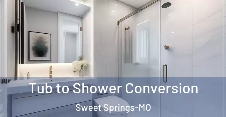 inner Bathroom imggen Tub to Shower Conversion Sweet Springs-MO