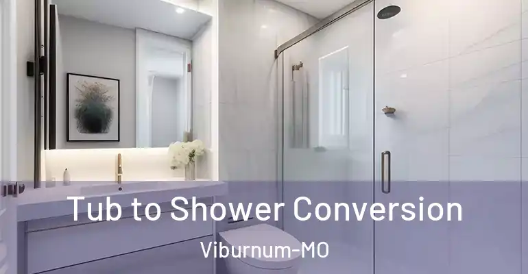 inner Bathroom imggen Tub to Shower Conversion Viburnum-MO